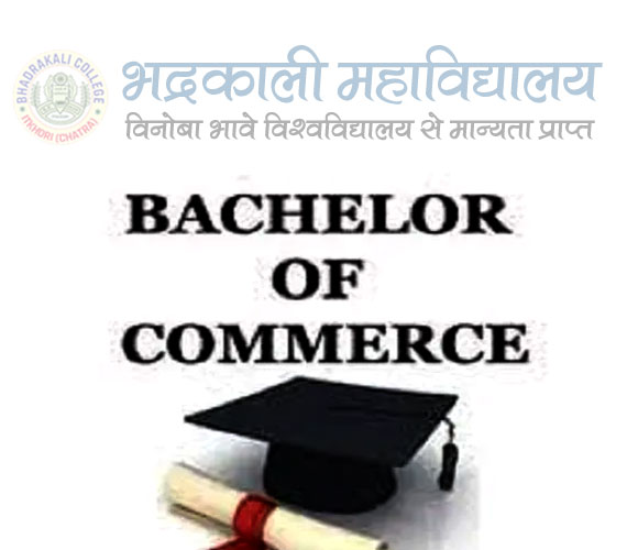 Bhadrakali College